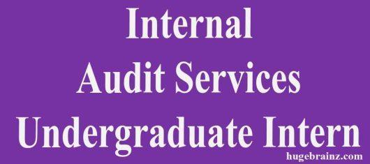 Internal Audit Services Undergraduate Intern