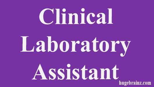 Clinical Laboratory Assistant