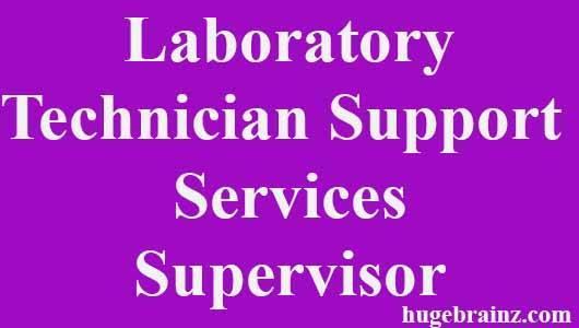 Laboratory Technician Support Supervisor