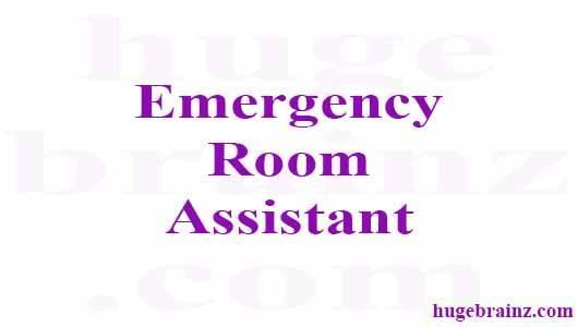 Emergency Room Assistant