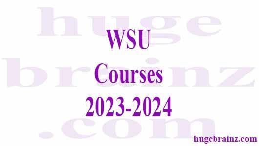 WSU Courses 2023-2024