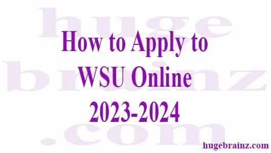 How to Apply to WSU Online 2023-2024